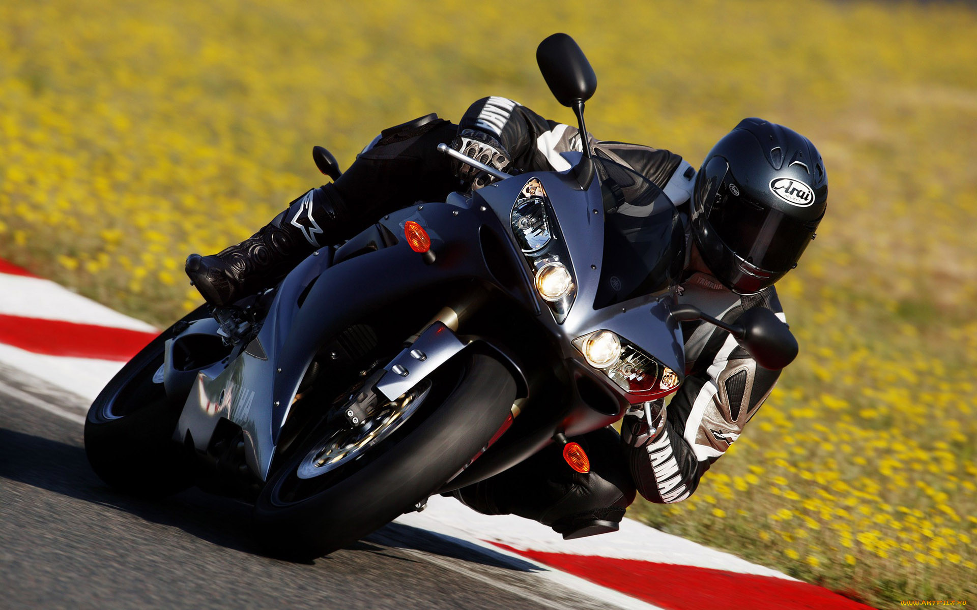 , yamaha